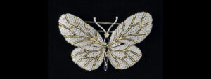 20__farfalla_e_3302